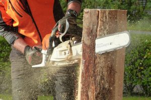 APPSC Forest Jobs